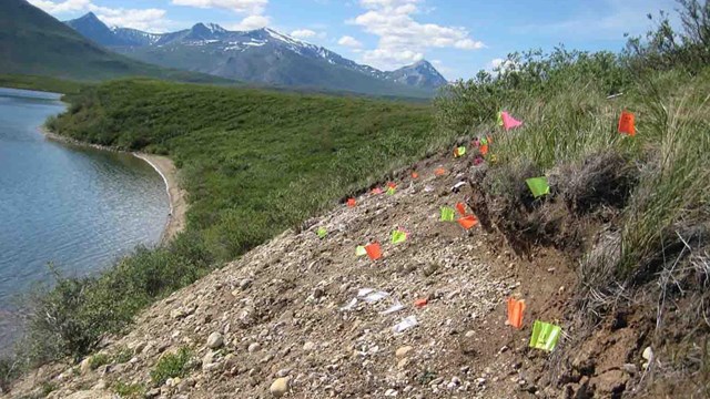 Colorful flags mark archaeological sites along a steep bank in the Brooks Range.